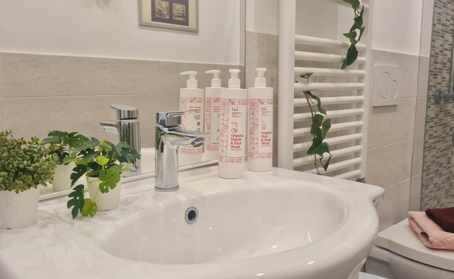 Conte Verde Apartments Turin Ngoại thất bức ảnh