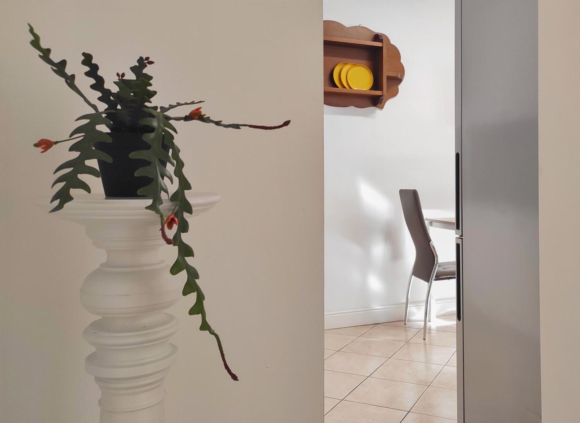 Conte Verde Apartments Turin Ngoại thất bức ảnh